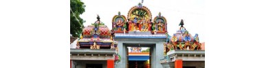 மீனாட்சி சொக்கநாதர்